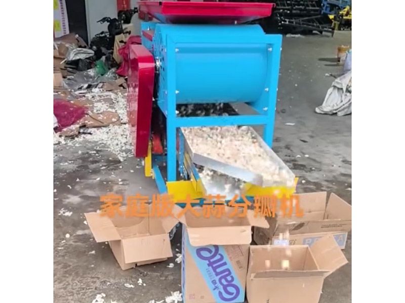 大蒜分瓣分選機視頻